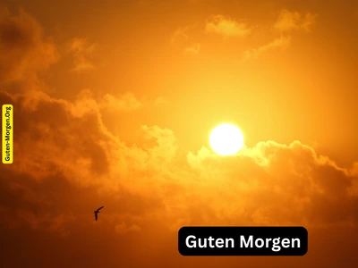 Guten Morgen Bild - Sonnenaufgang