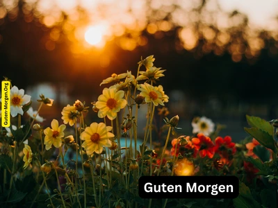 Guten Morgen Bild - Blumen