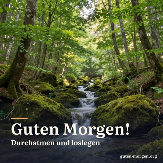 Bemooster Waldbach mit kleinen Kaskaden zwischen Buchen, Sonnenstrahlen fallen durch das frische Laub; Schrift: „Guten Morgen! Durchatmen und loslegen“